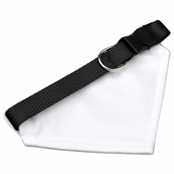 Dog Collar with Bandana